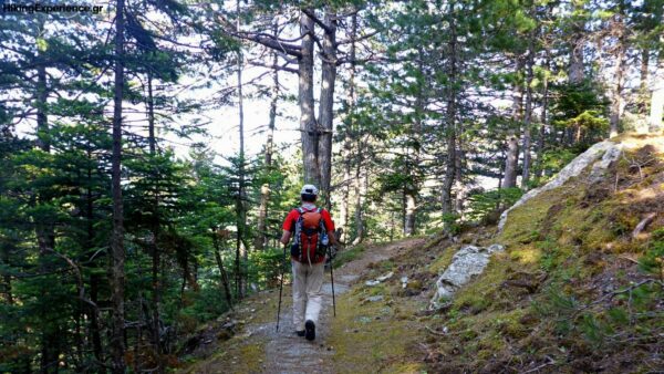 Ορειβατικός Σύλλογος Βροντούς Ολύμπου: Πεζοπορία μέσα στο ρέμα
